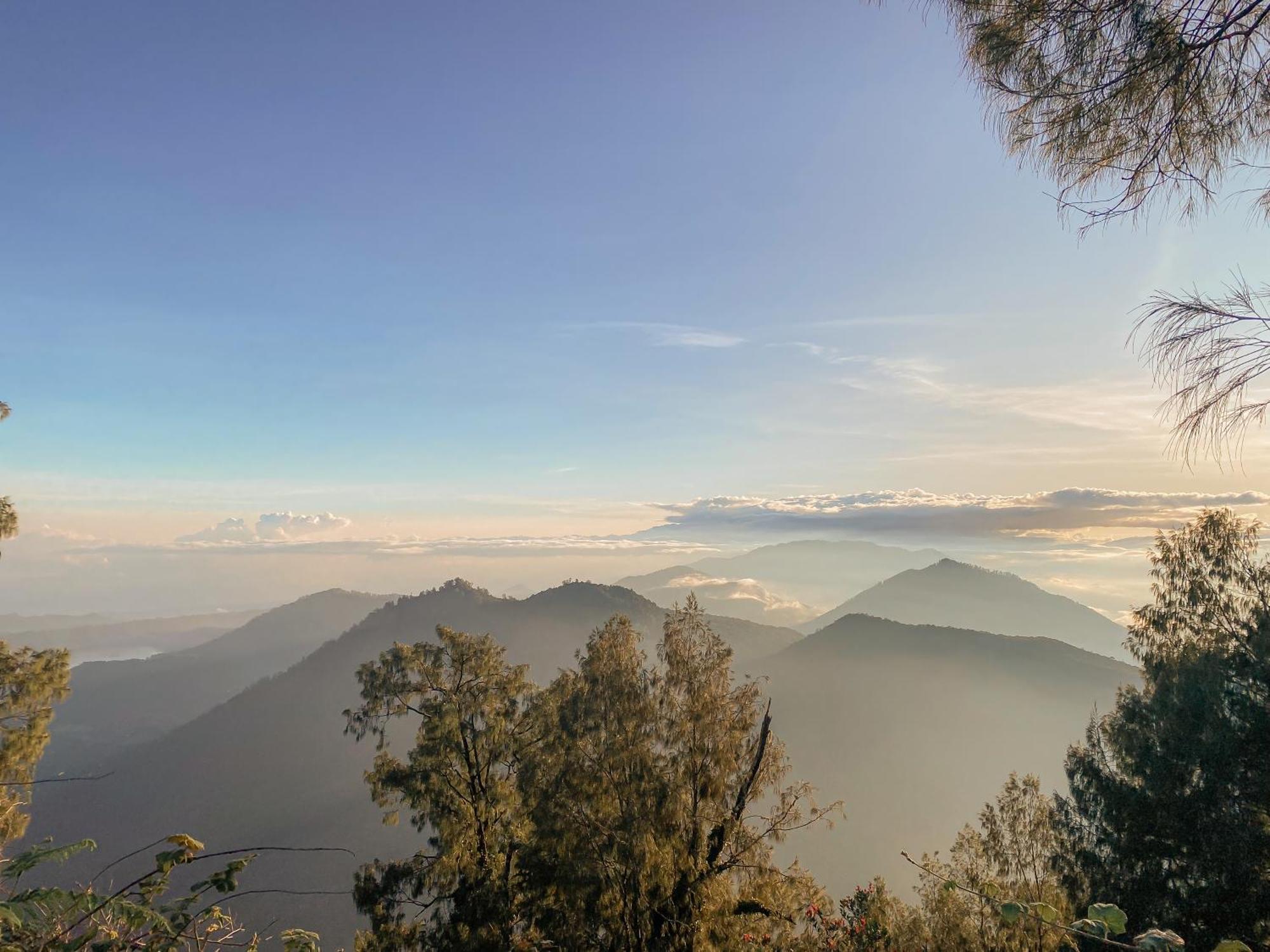Bali Palms Daire Selemadeg Dış mekan fotoğraf