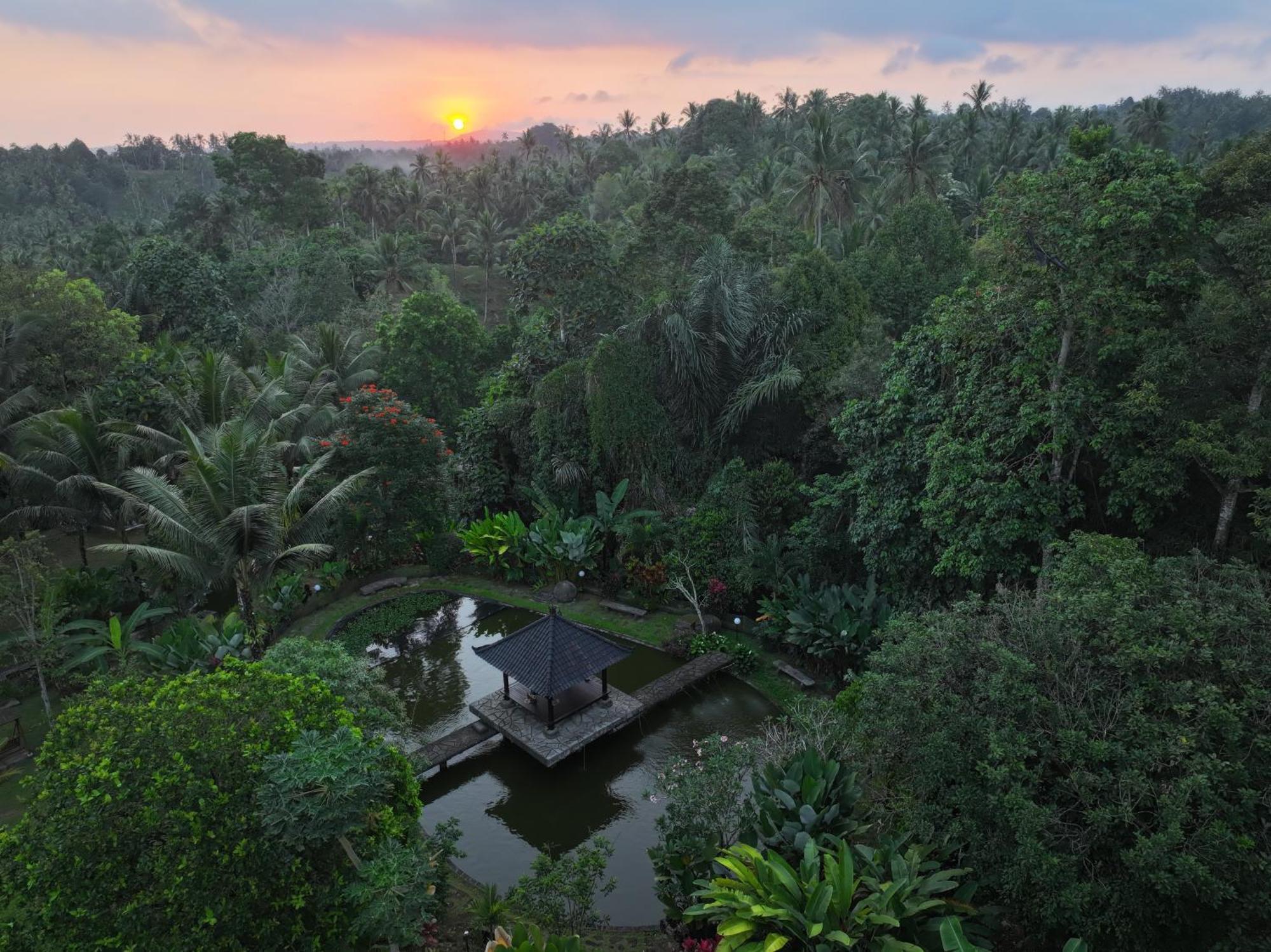 Bali Palms Daire Selemadeg Dış mekan fotoğraf